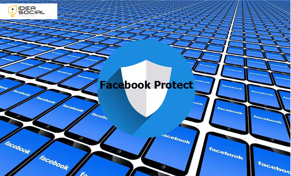 Why Facebook Protect? (Coming to Light the Motive Behind Facebook's Protective Measures)