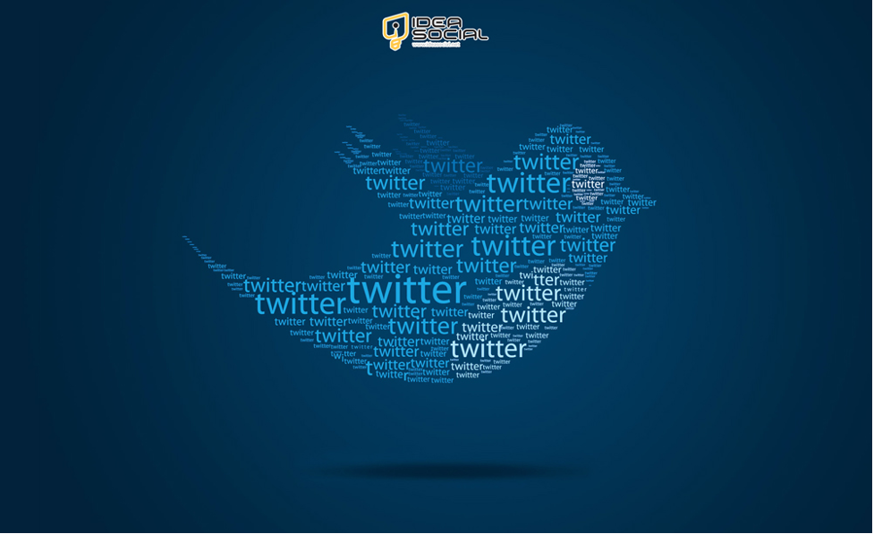 Why Twitter Embed Not Working?! (Reasons & Solutions)