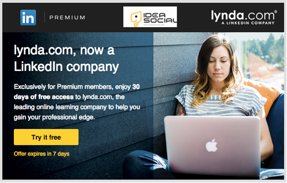 Did LinkedIn Buy Lynda? [+Reasons]