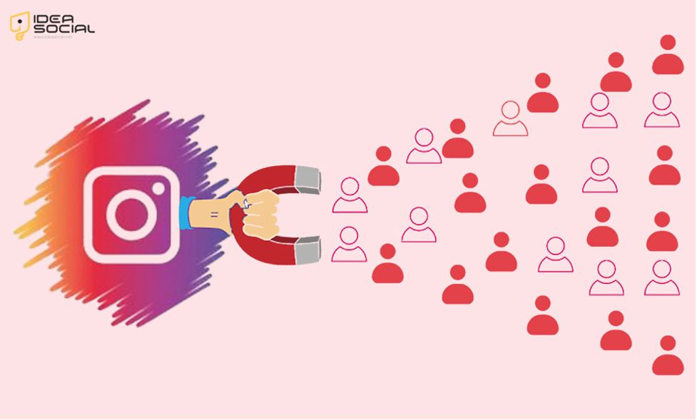 Best Instagram Follower Export Tools?