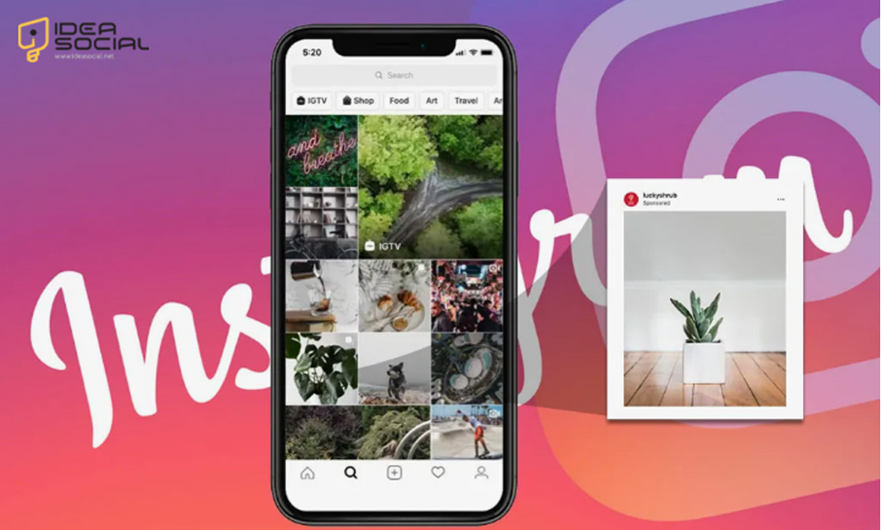 instagram ads analytics 2024 campaign success